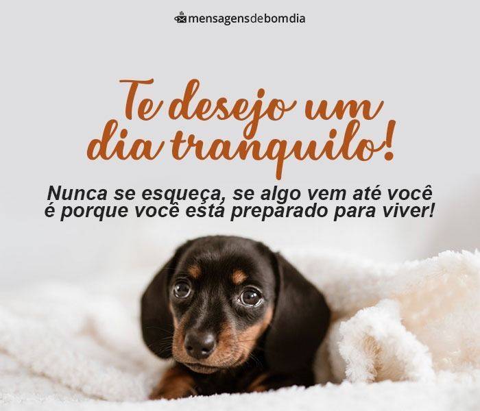 Nunca se esqueça: você está preparado para viver