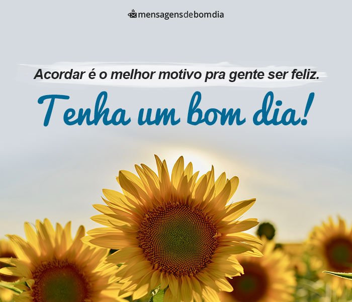 Imagens de Bom dia – 99 Mensagens para Whatsapp