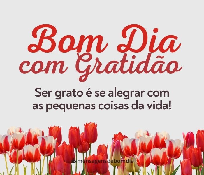 111 Mensagens de Bom Dia com Gratidão – Mensagens de Bom dia