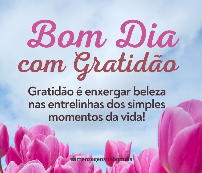 111 Mensagens de Bom Dia com Gratidão – Mensagens de Bom dia