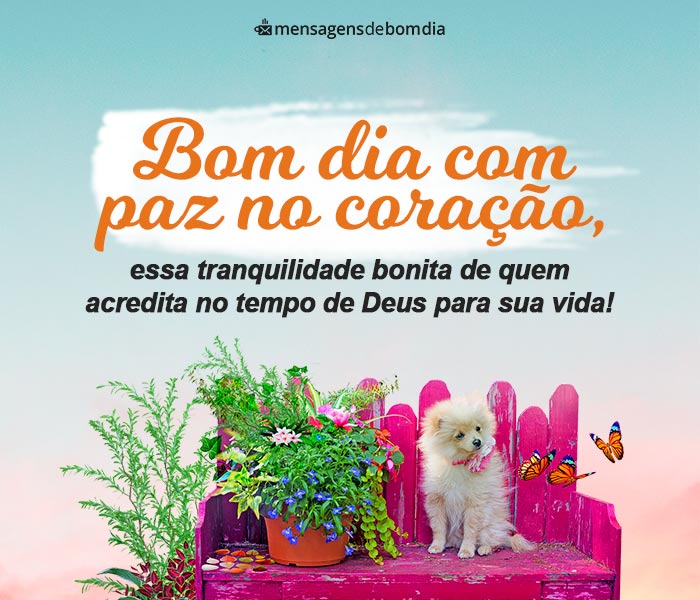 53 Mensagens de Bom Dia com Paz – Mensagens de Bom dia