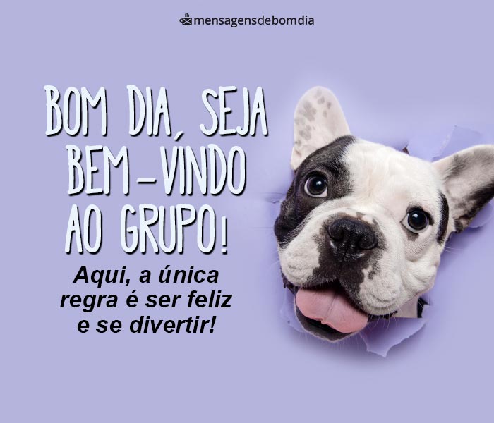 Bem Vindo Ao Grupo Animado Seja Bem Vindo Ao YouTube Animação